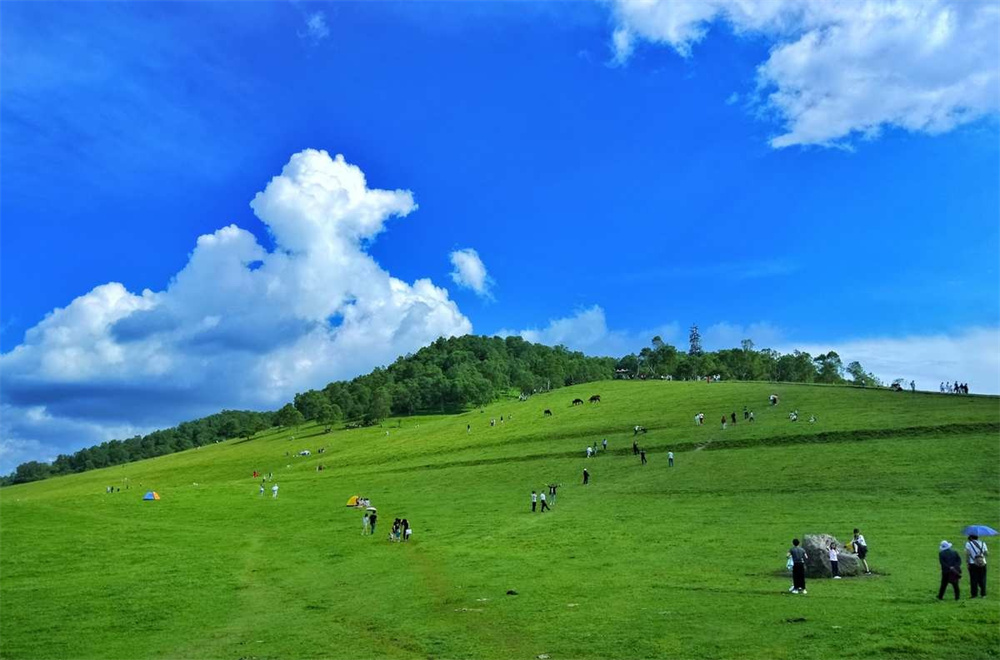 Guanshan grassland.jpg
