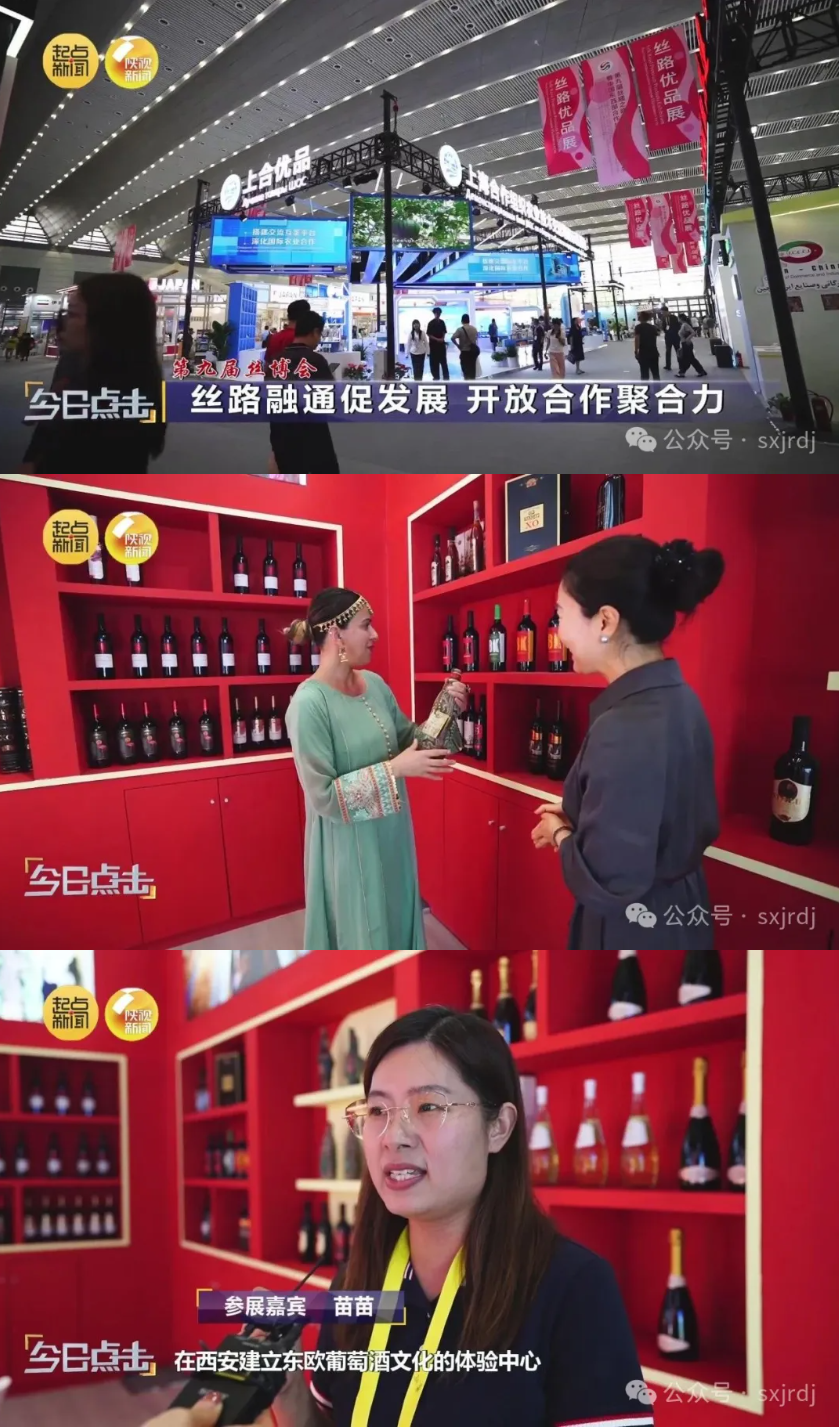 今日点击-4.png
