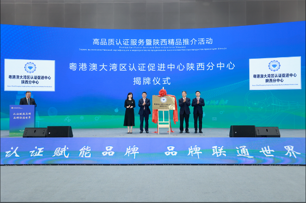 粤港澳.png